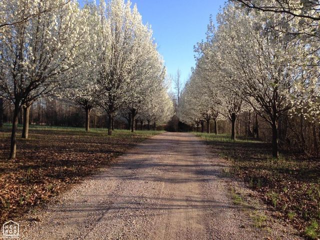 4821 PEACHTREE Avenue, Jonesboro, AR 72405