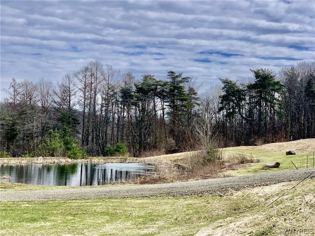 6451 Java Lake Road, Arcade, NY 14009