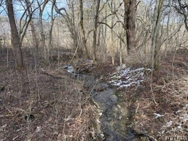 6451 Java Lake Road, Arcade, NY 14009