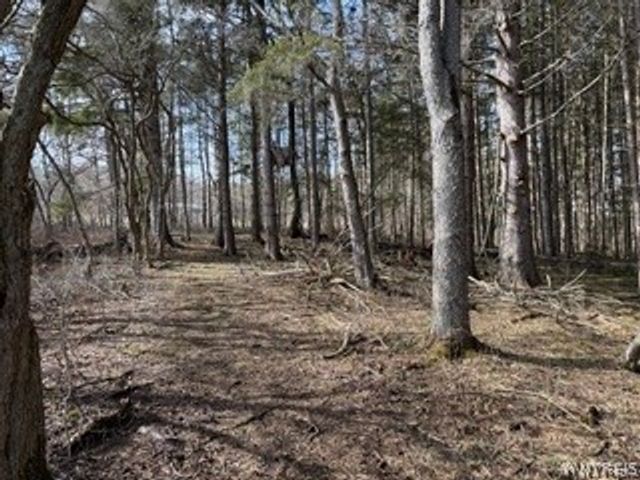 6451 Java Lake Road, Arcade, NY 14009