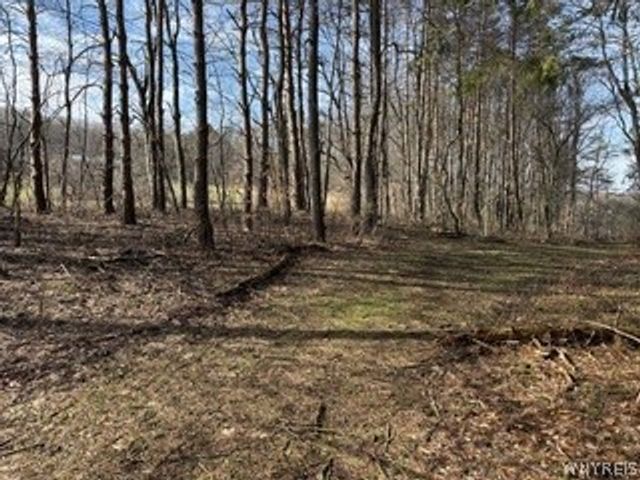 6451 Java Lake Road, Arcade, NY 14009