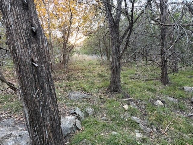 Lot 30 Glen Abbey Drive, Possum Kingdom Lake, TX 76449