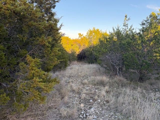 Lot 30 Glen Abbey Drive, Possum Kingdom Lake, TX 76449