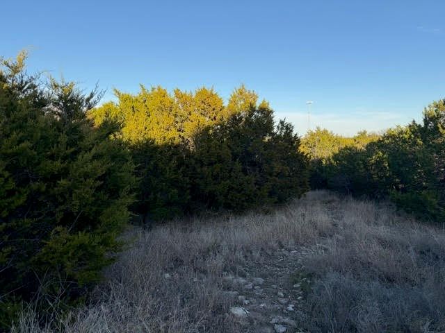 Lot 30 Glen Abbey Drive, Possum Kingdom Lake, TX 76449