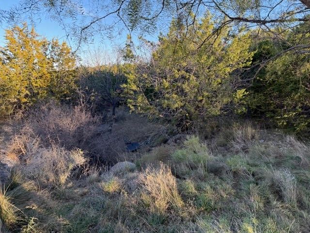 Lot 30 Glen Abbey Drive, Possum Kingdom Lake, TX 76449