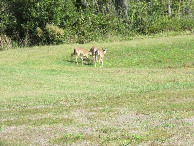 15518 MILLER CREEK DRIVE, Sun City Center, FL 33573