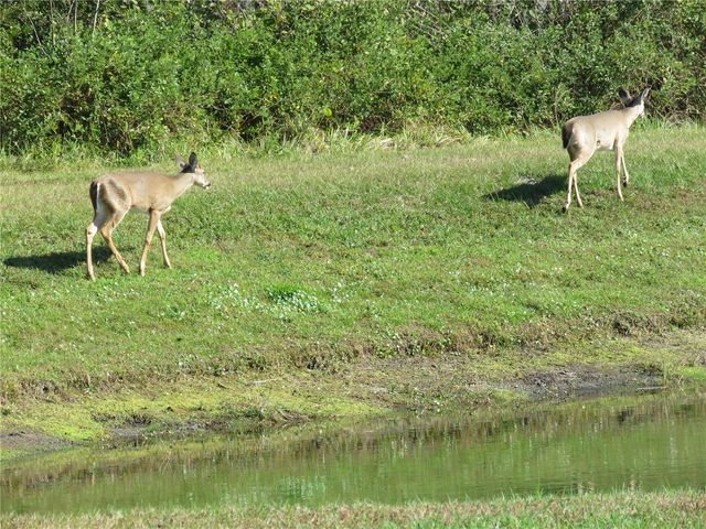 15518 MILLER CREEK DRIVE, Sun City Center, FL 33573