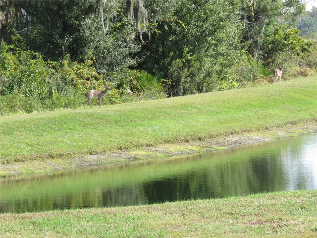 15518 MILLER CREEK DRIVE, Sun City Center, FL 33573