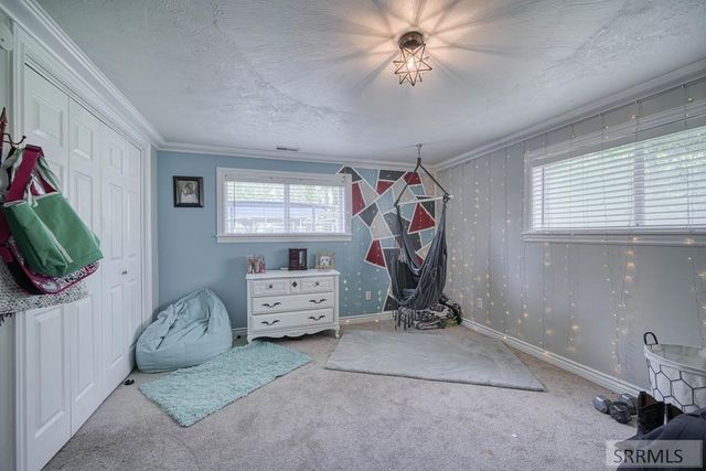 3973 E 460 N, Rigby, ID 83442