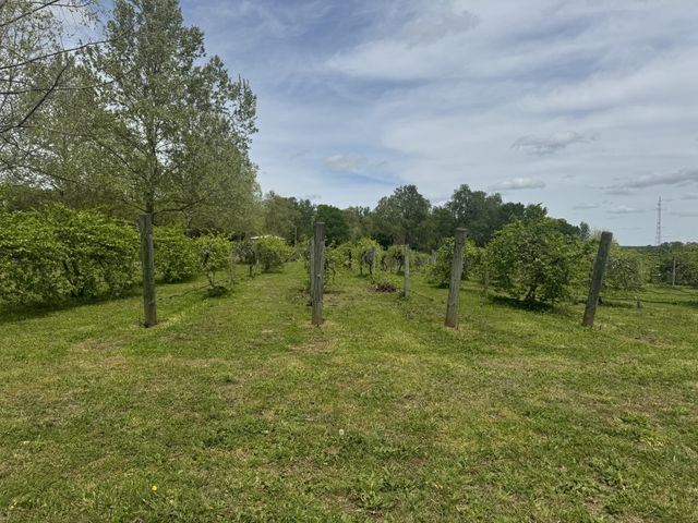 2982 Harvey Bowden Rd, Paris, TN 38242