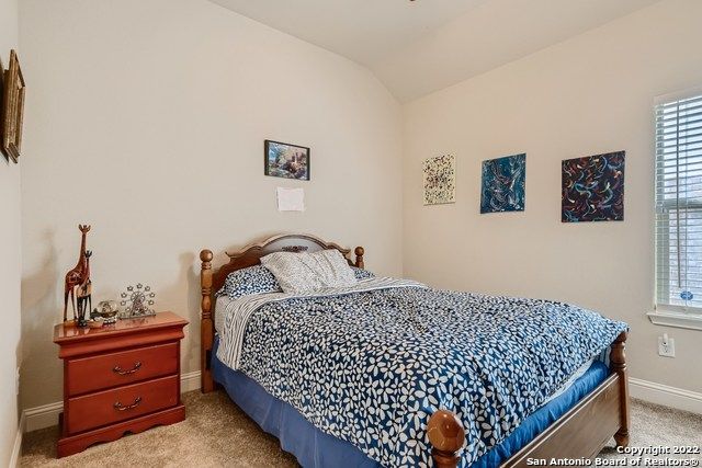 11338 Ivy Cadence, San Antonio, TX 78253