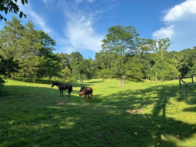 1975 Cherry Grove Road, Somerset, KY 42501