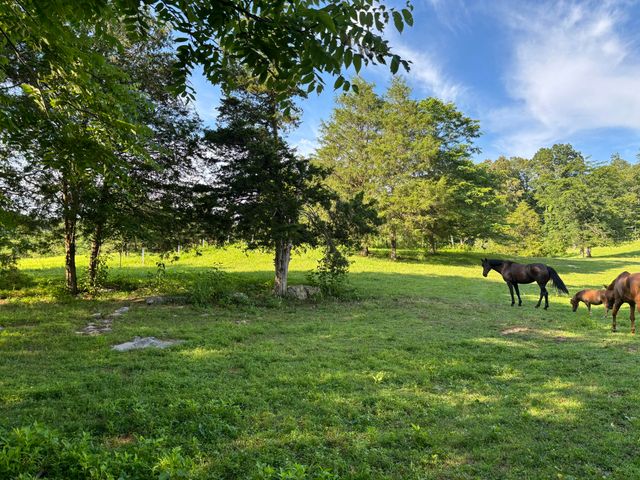 1975 Cherry Grove Road, Somerset, KY 42501