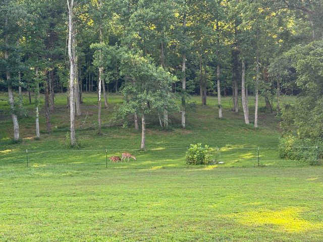 1975 Cherry Grove Road, Somerset, KY 42501