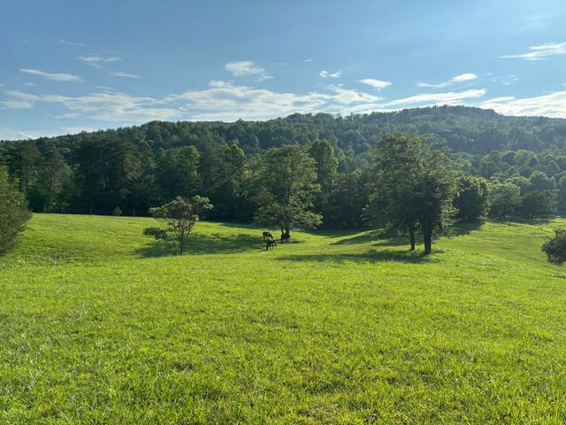 1975 Cherry Grove Road, Somerset, KY 42501