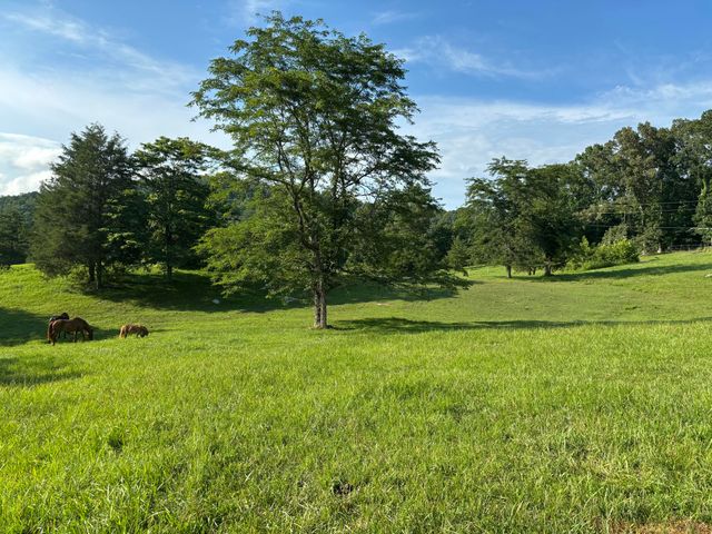 1975 Cherry Grove Road, Somerset, KY 42501