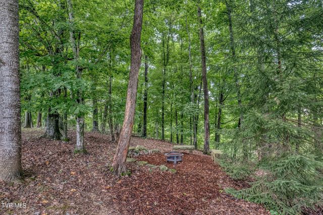 1828 Weaver Branch Rd, Piney Flats, TN 37686
