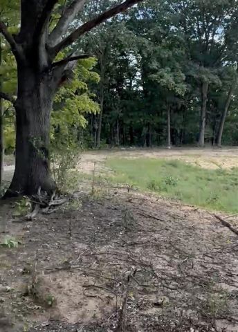 5555 128th Avenue, Fennville, MI 49408