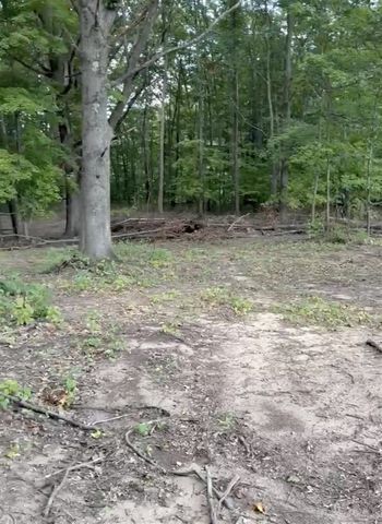 5555 128th Avenue, Fennville, MI 49408