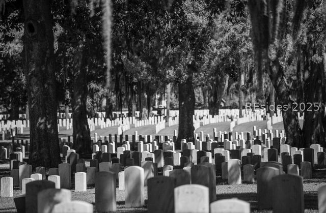 TBD Washington Drive, Beaufort, SC 29902