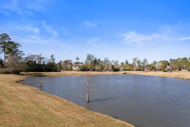 46 Pronghorn Place, Spring, TX 77389