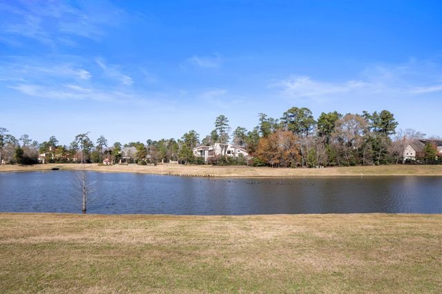 46 Pronghorn Place, Spring, TX 77389