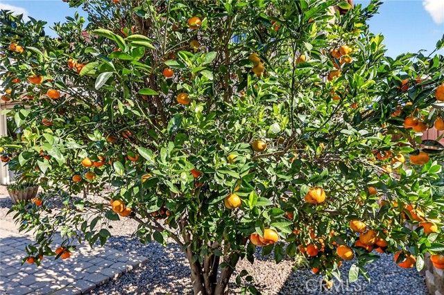 36461 Gambrel Gate Lane, Winchester, CA 92596