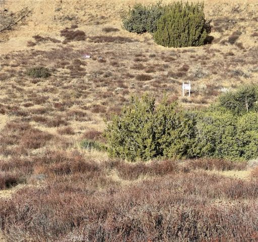 0 Sierra, Acton, CA 93510