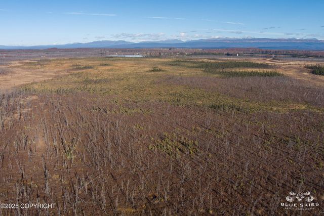 41357 W Krantz Road, Willow, AK 99688