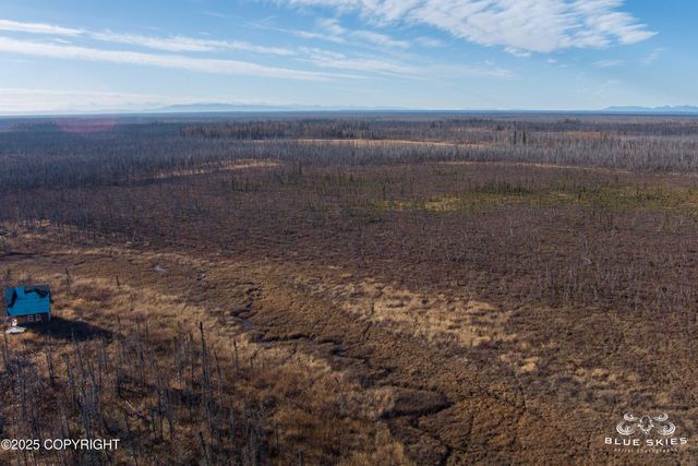 41357 W Krantz Road, Willow, AK 99688