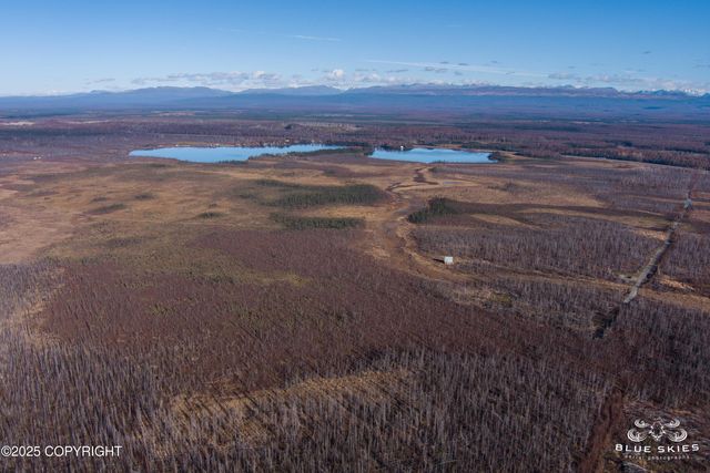 41357 W Krantz Road, Willow, AK 99688