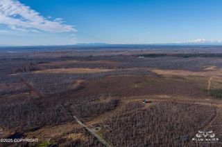 41357 W Krantz Road, Willow, AK 99688