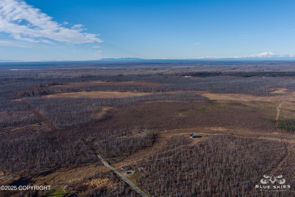 41357 W Krantz Road, Willow, AK 99688