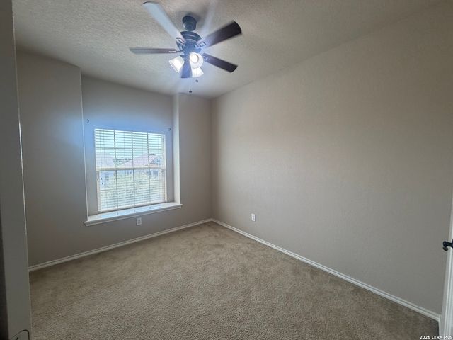 1307 Tweed Willow, San Antonio, TX 78258