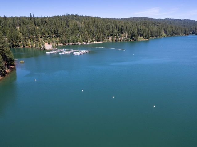 5502 Begonia Dr, Pollock Pines, CA 95726