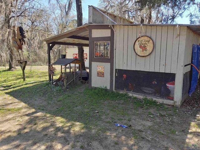 2491 Dorough Rd, Karnack, TX 75661