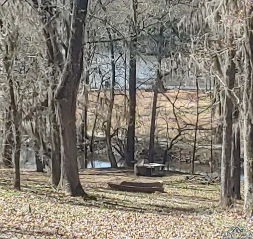 2491 Dorough Rd, Karnack, TX 75661