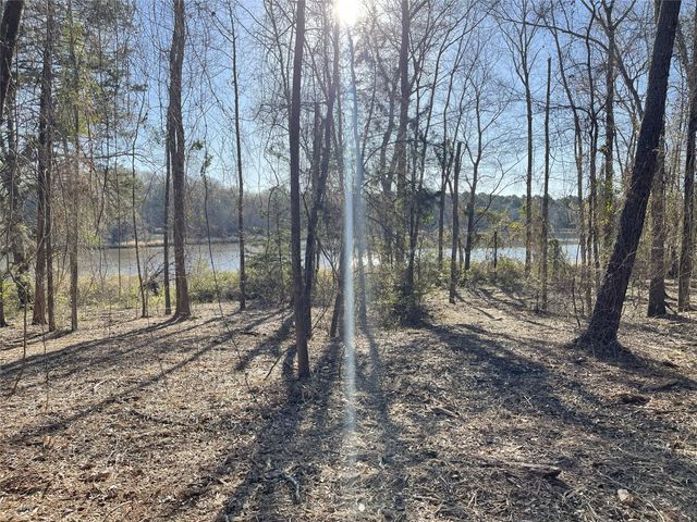 TBD Lot 1 County Road 2200, Mineola, TX 75773