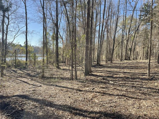 TBD Lot 1 County Road 2200, Mineola, TX 75773