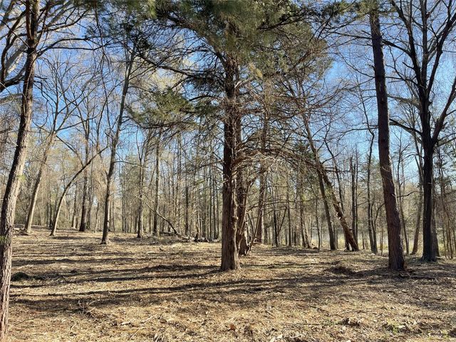 TBD Lot 1 County Road 2200, Mineola, TX 75773