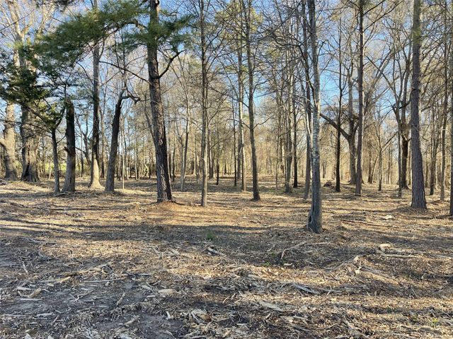 TBD Lot 1 County Road 2200, Mineola, TX 75773