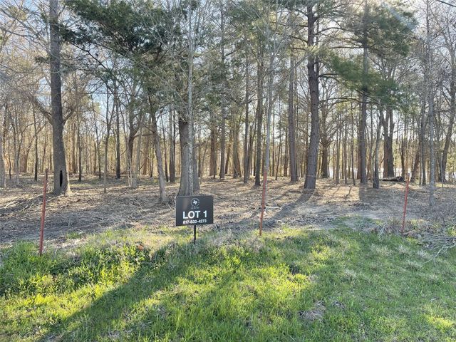 TBD Lot 1 County Road 2200, Mineola, TX 75773