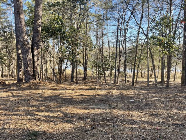 TBD Lot 1 County Road 2200, Mineola, TX 75773