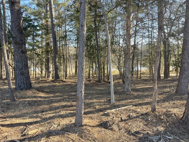 TBD Lot 1 County Road 2200, Mineola, TX 75773