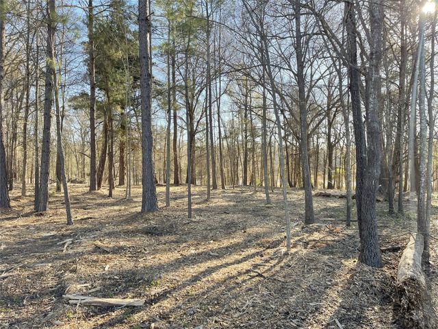 TBD Lot 1 County Road 2200, Mineola, TX 75773