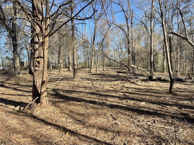 TBD Lot 1 County Road 2200, Mineola, TX 75773