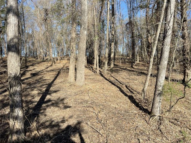 TBD Lot 1 County Road 2200, Mineola, TX 75773