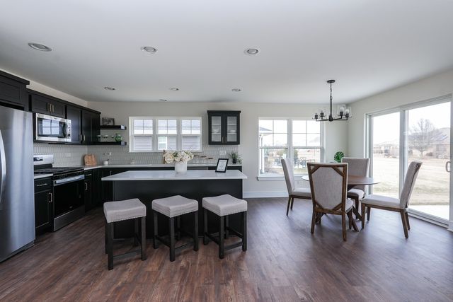 1009 Spring Street, Manteno, IL 60950