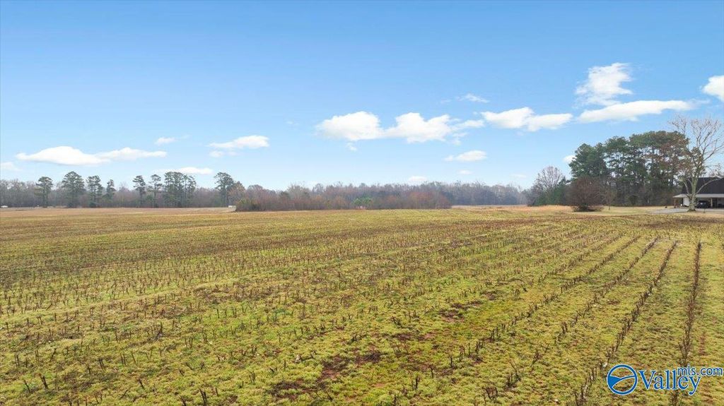 5 Acres Loveless Road, Hazel Green, AL 35750