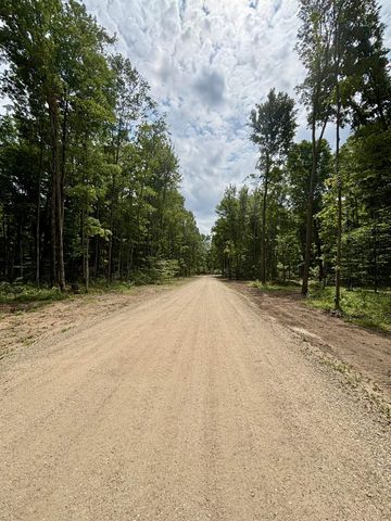 Lot 8 Manistee Ridge Drive Ne, Kalkaska, MI 49646